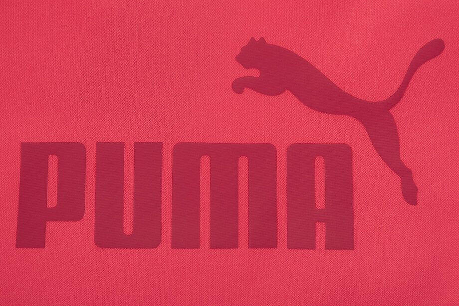 Bluza treningowa dla dzieci Puma ESS Logo Hoodie FL