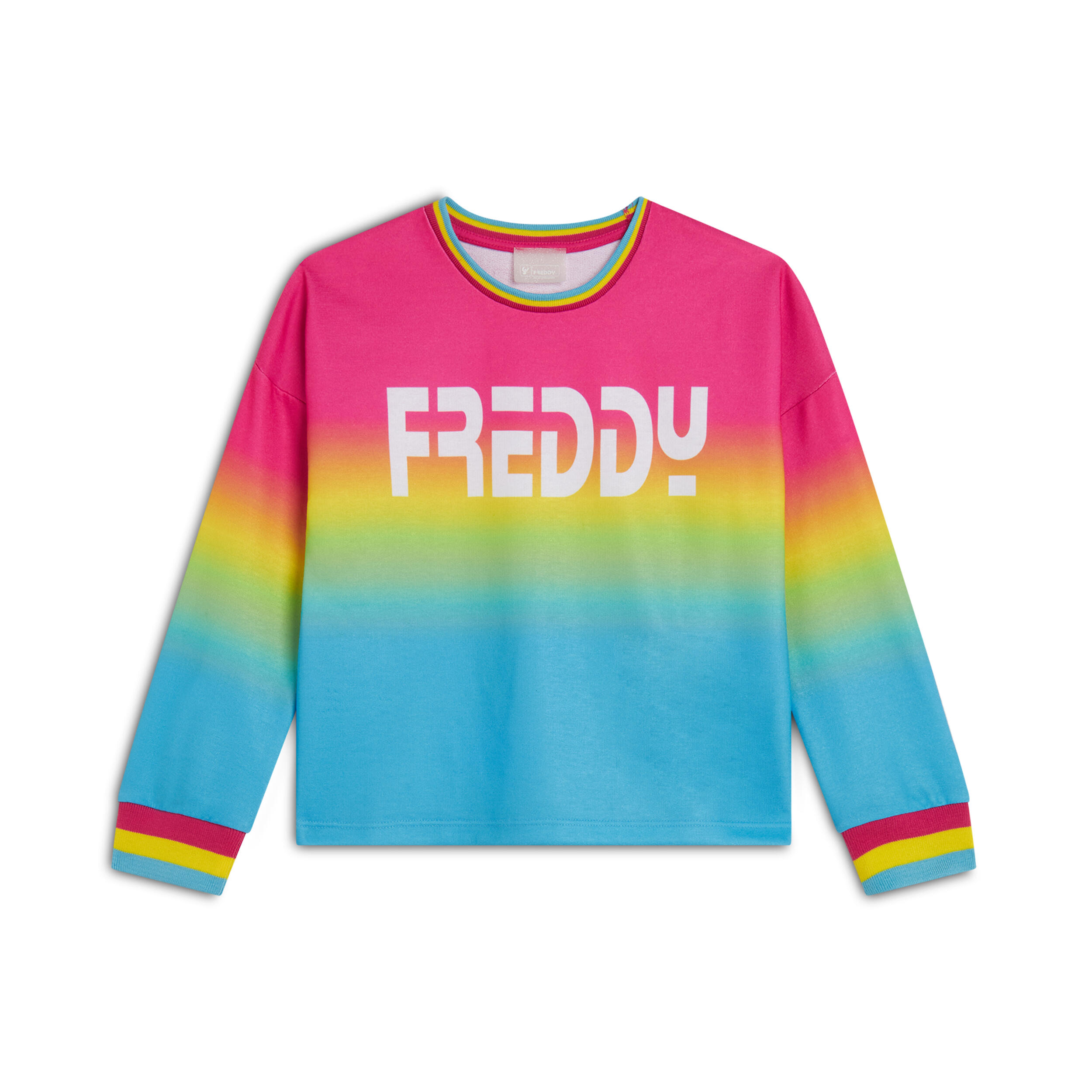 FREDDY picture