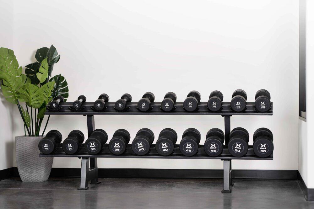 Vision Fitness FW510 — Rack d’haltères 10 paires, robuste et ergonomique 2/7