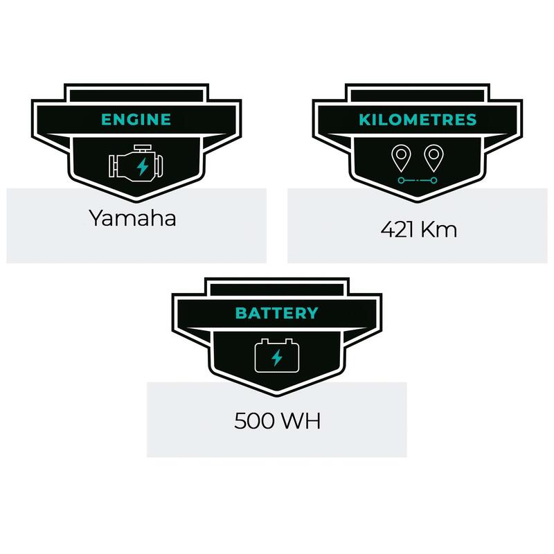 Segunda Vida - Ebike Liv Temps E+ - 9 Velocidades