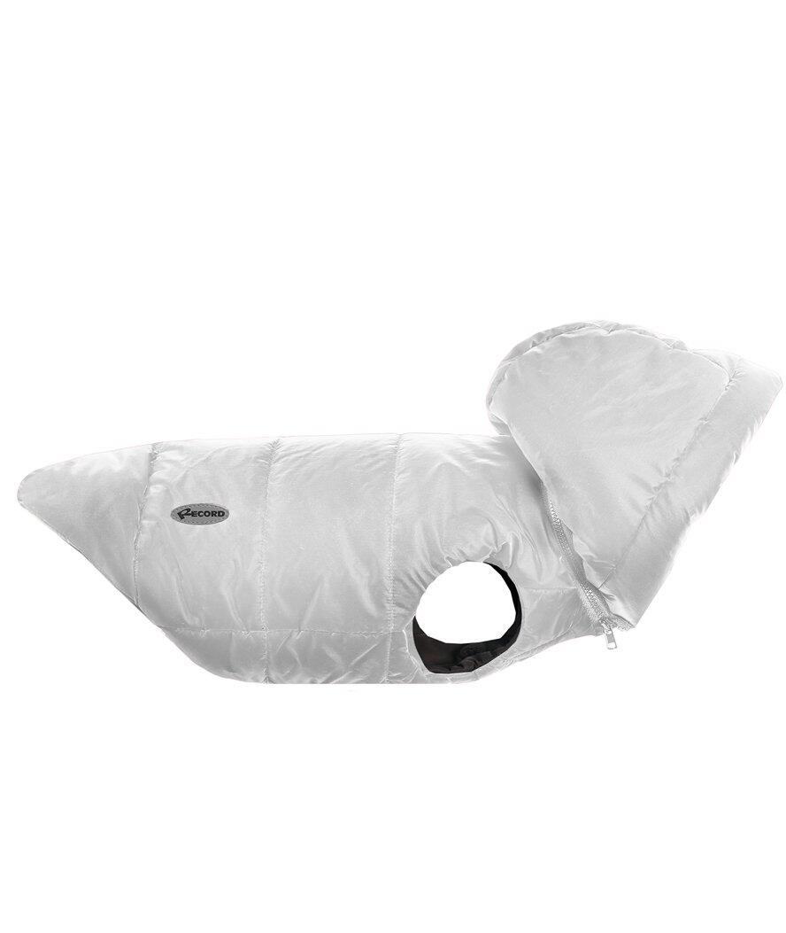 RECORD Cappotto Dogmar in tessuto impermeabile con cappuccio rimovibile, XS Silver