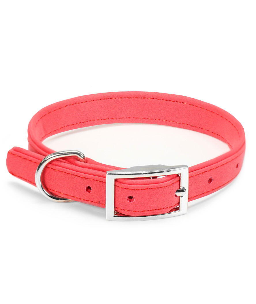 Collare in simil-pelle scamosciata con fibbia in metallo, 2,5x50-60cm Rosso 1/1
