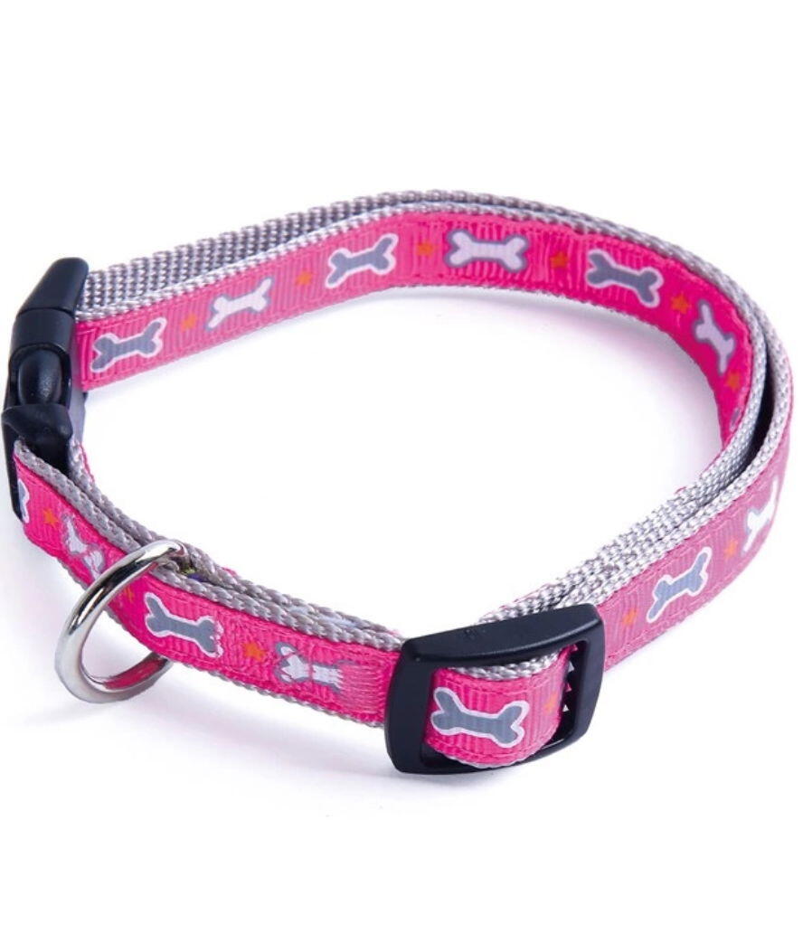 RECORD Collare in nylon con clip in plastica Linea Ossini per cani, 1,9x35-50cm Fucsia