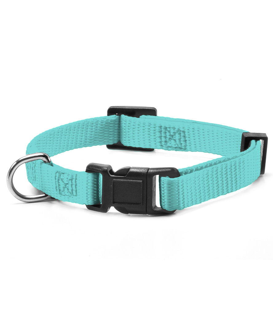 RECORD Collare in nylon per cani, 1,5 x 33-40 cm Azzurro