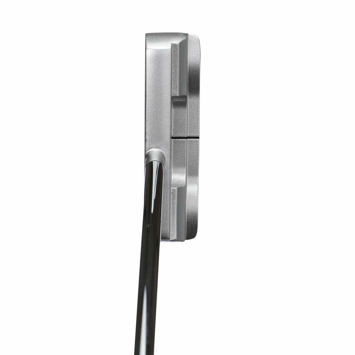 Tour Series 66 AIM 2 Putter 30.5 Pulgadas 5/5