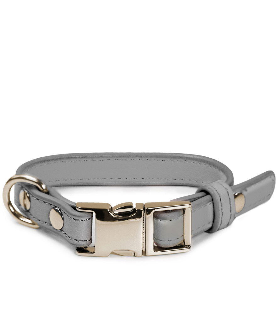 RECORD Collare in similpelle con fibbia in metallo London per cani, 1,5x35-48cm Grigio