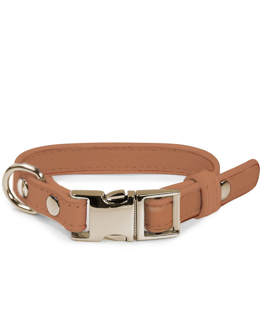 RECORD Collare in similpelle con fibbia in metallo London per cani, 1,5x28-38cm Marrone