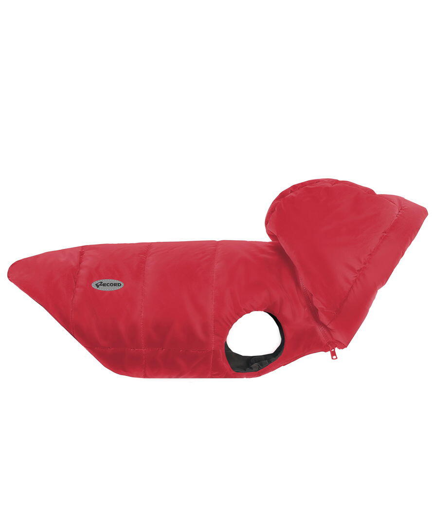 RECORD Cappotto Dogmar in tessuto impermeabile con cappuccio rimovibile, XS Rosso