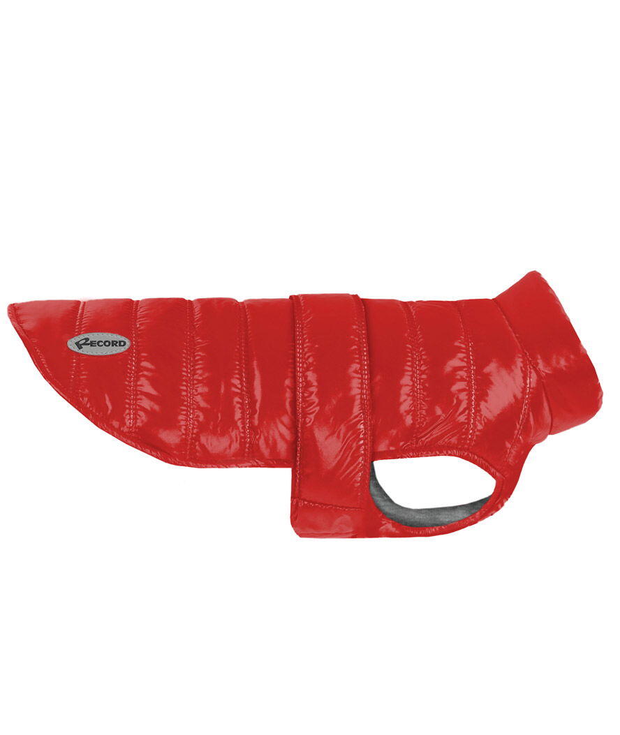 RECORD Cappottino impermeabile con interno in felpa modello Wind per cani, 3XL Rosso