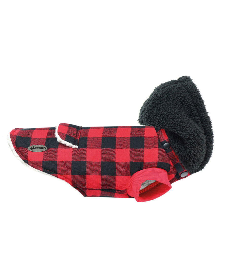 RECORD Cappottino con cappuccio e imbottitura effetto teddy modello Logan per cani, L