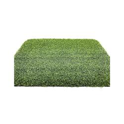 JARDIN202 - Césped Artificial Golf Pro - Rollo 25x2m JARDIN202