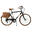 Bicicletă oraș Dolce Vita Canellini OLDSTYLE bărbați cu genți