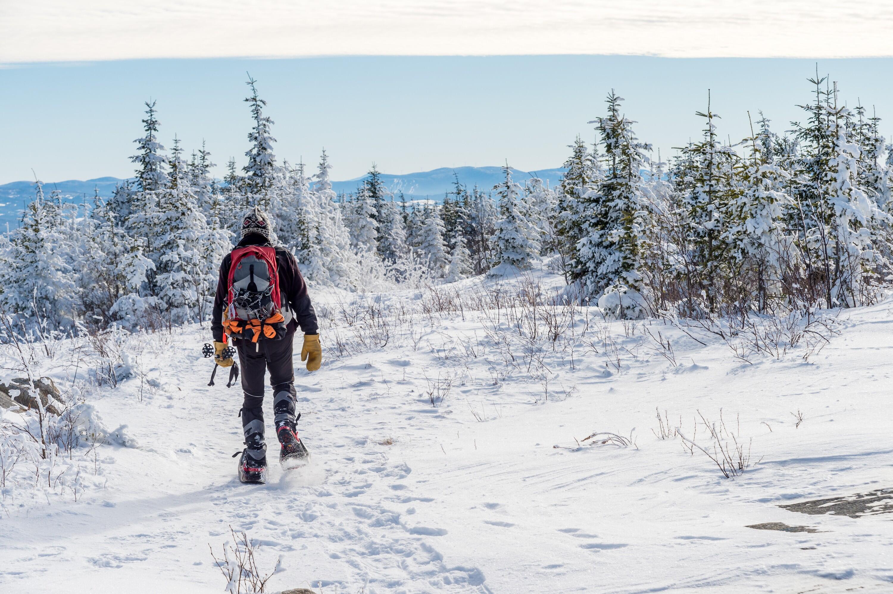Roadtrip en liberté, dans l'hiver de l'ouest canadien 1/1