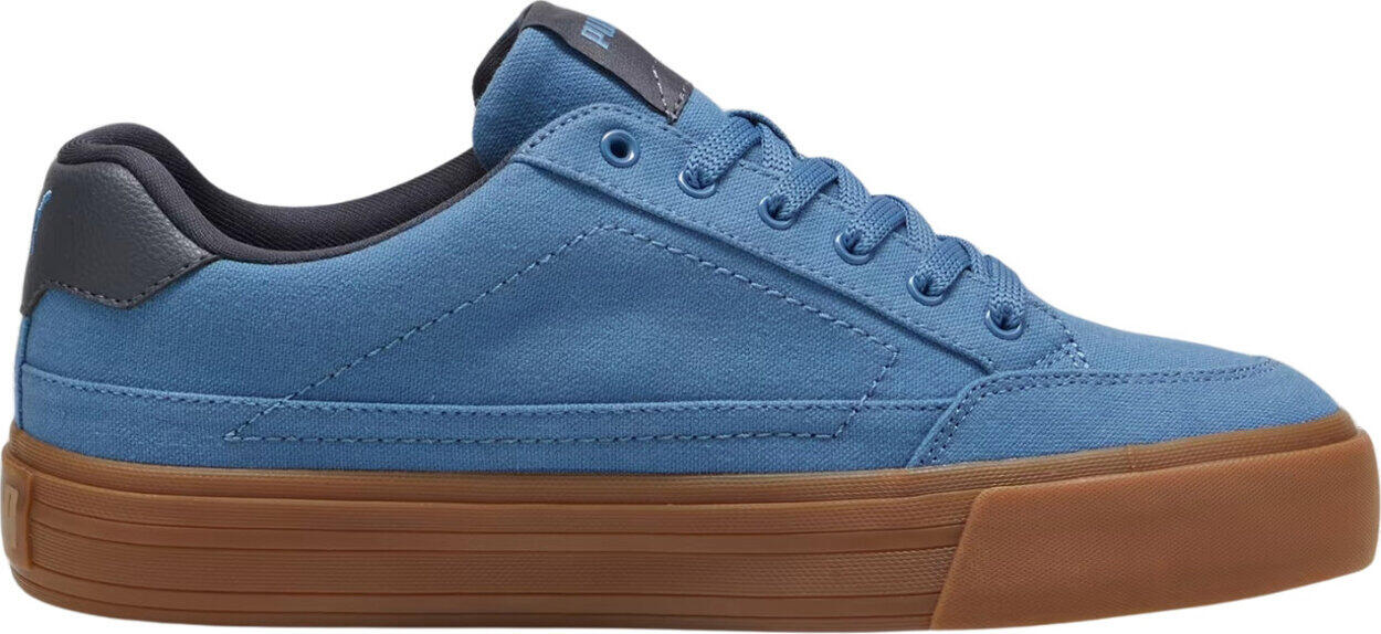 PUMA picture