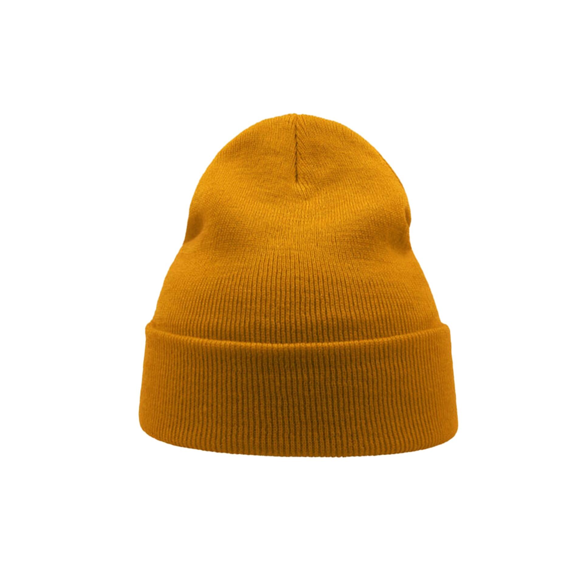 Wind Double Skin Beanie With Turn Up (Mustard) 3/3