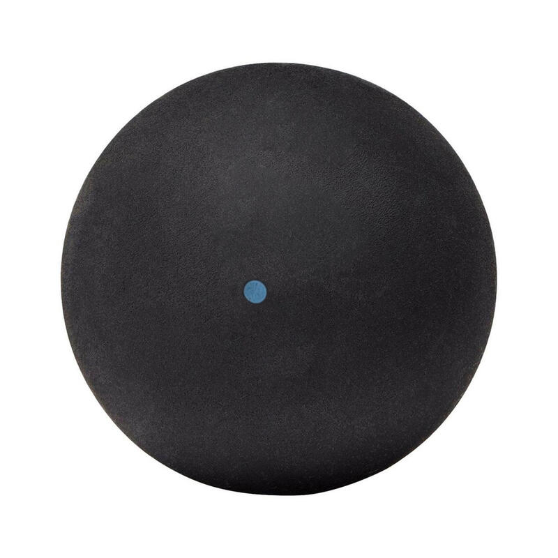 Dunlop INTRO 12X1BALL BOX – squash