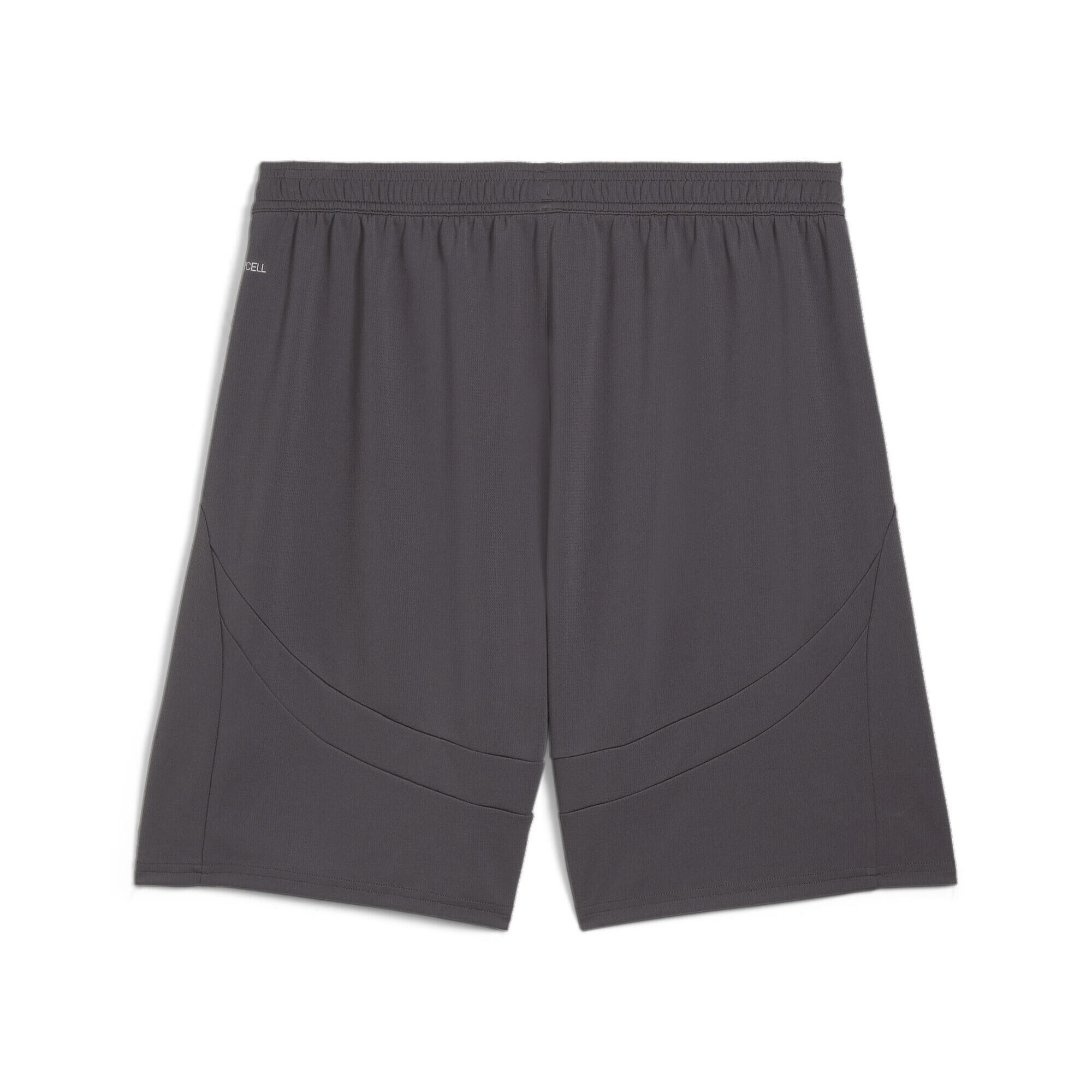 AC Milan 24/25 short voor heren PUMA Shadow Gray Fresh Mint Green 7/7
