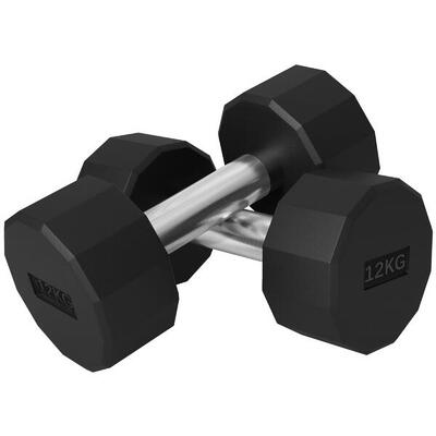 SPORTNOW Set 2 Manubri a 12 Lati da 12 kg 26x14x14 cm Nero