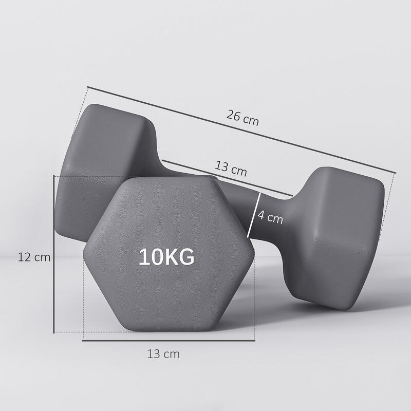 SPORTNOW Set 2 Gantere Hexagonale 10 kg 26X12X12 cm Gri