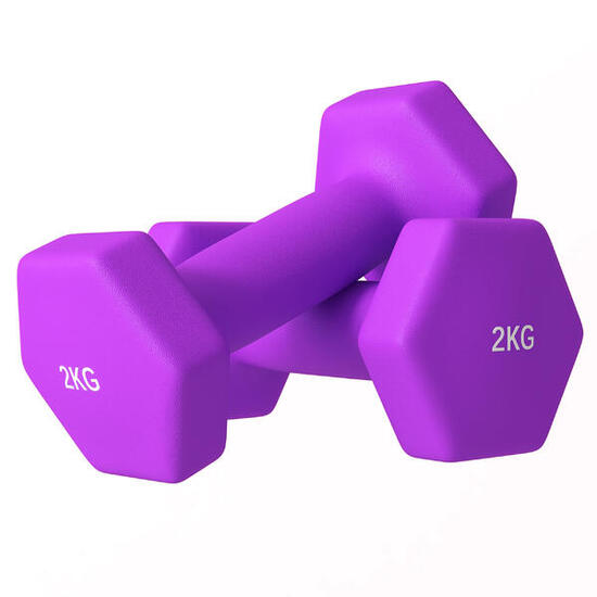 SPORTNOW Set 2 Manubri 2x2 kg Metallo e Plastica 16x7.5x7.5 cm Viola