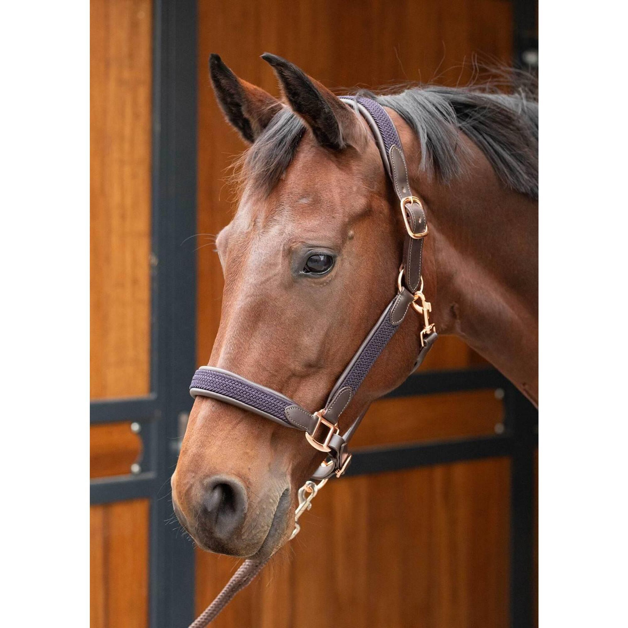Harrys Horse - Licol En Cuir Braided - Harry's Horse - Boots D'Équitation - Marron - Fs - Decathlon