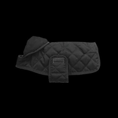 Kentucky Hundejacke Original