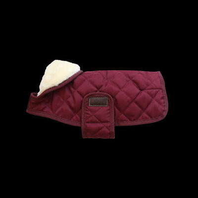 Kentucky Hundejacke Original