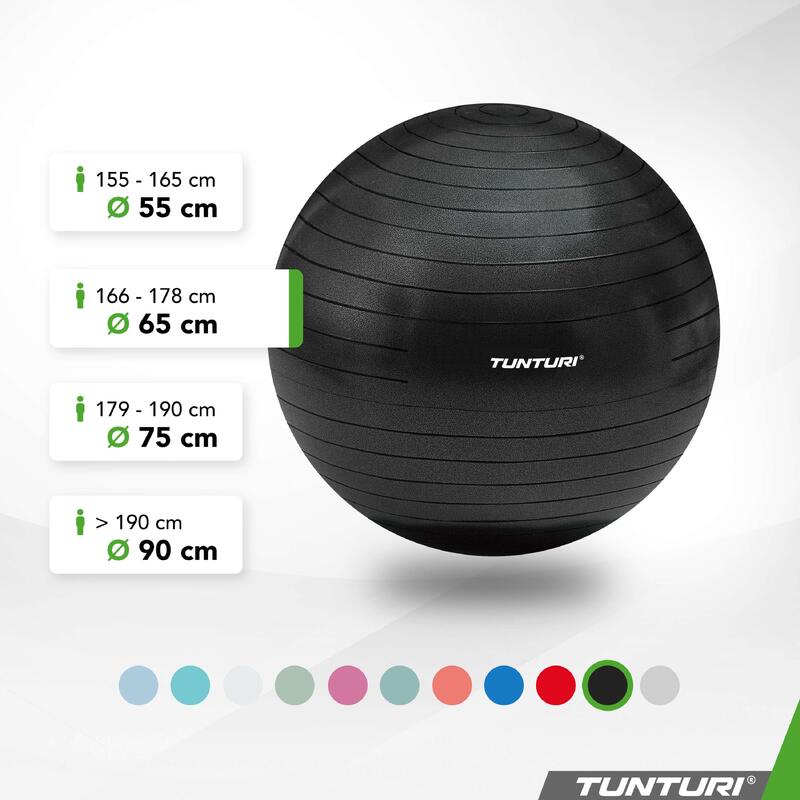 Ballon de fitness - Ballon de yoga - Pompe incluse - Capacité de charge 220 kg