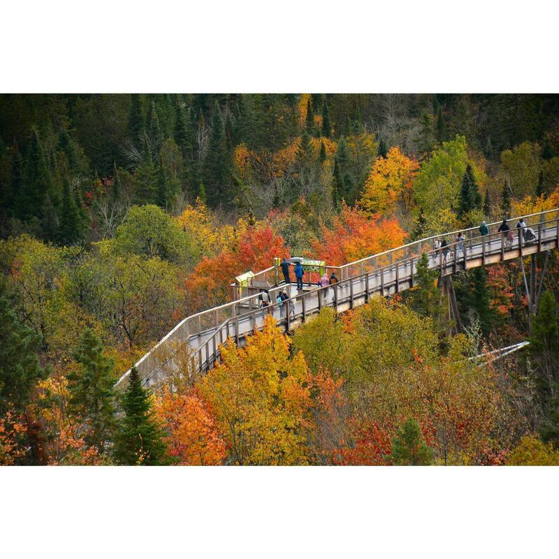 Een ontspannende vakantie in Canada, met wandelingen en walvissen spotten