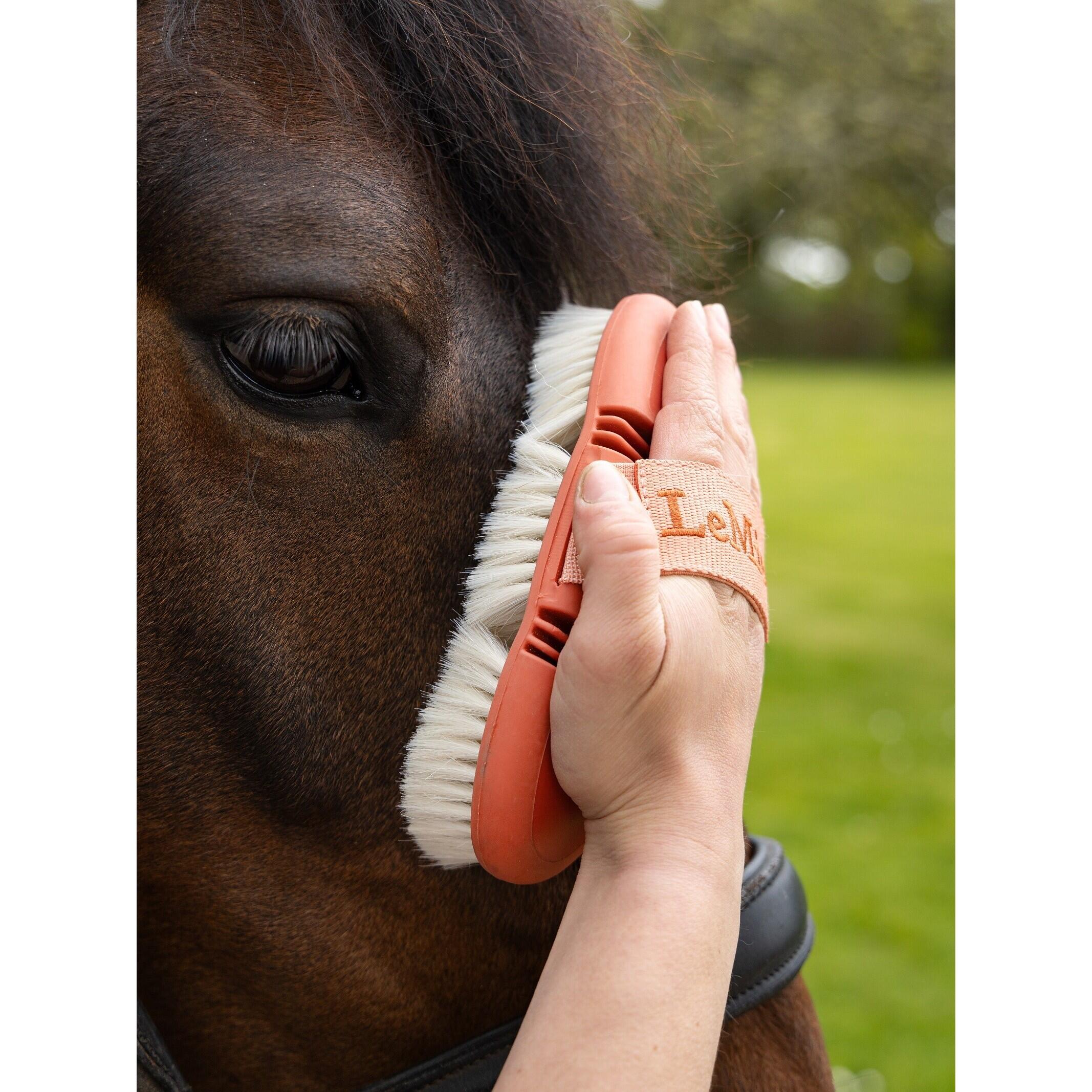 Brosse douce LeMieux Flexi 3/3
