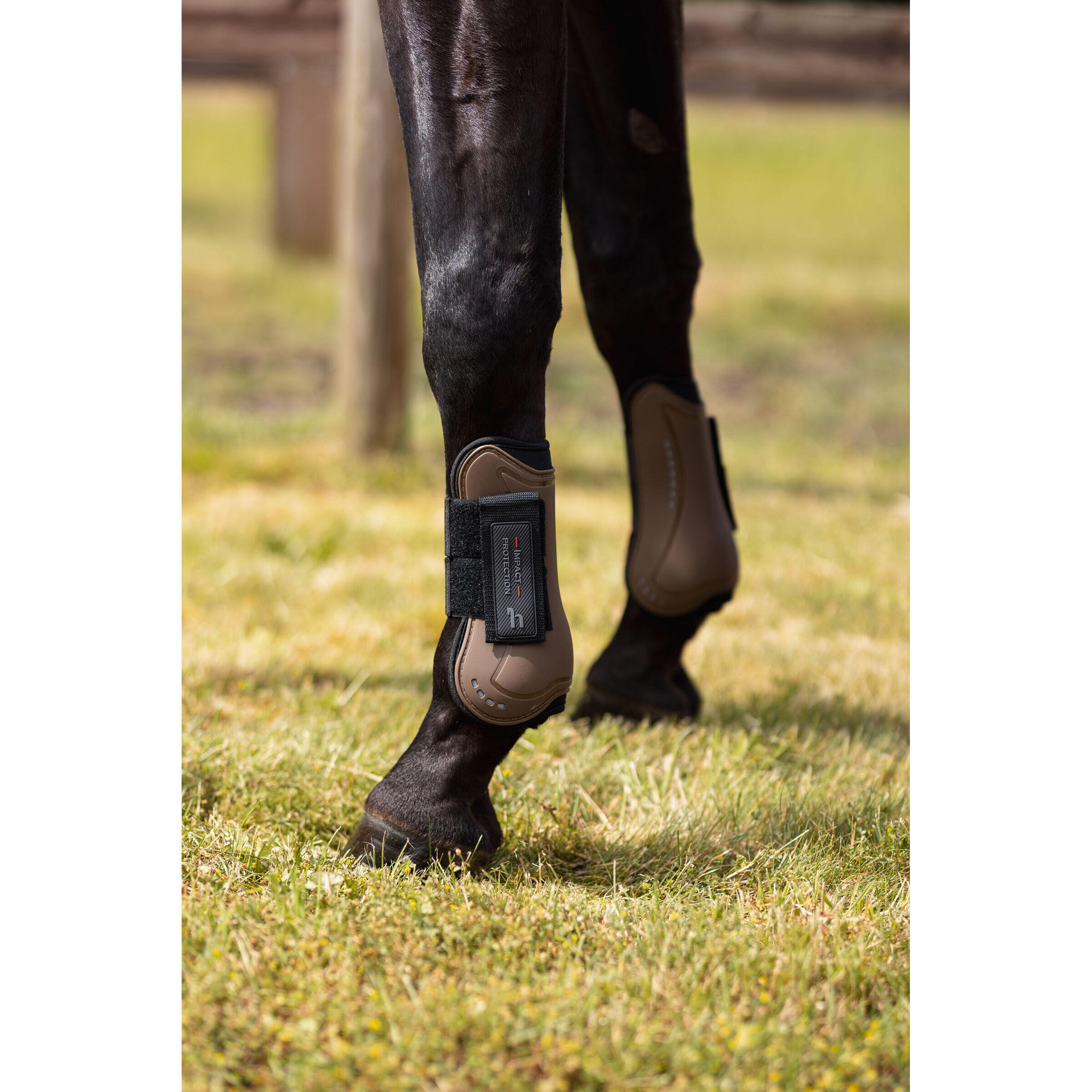 Protettore tendineo per cavalli Horze Armour Cool 4/6