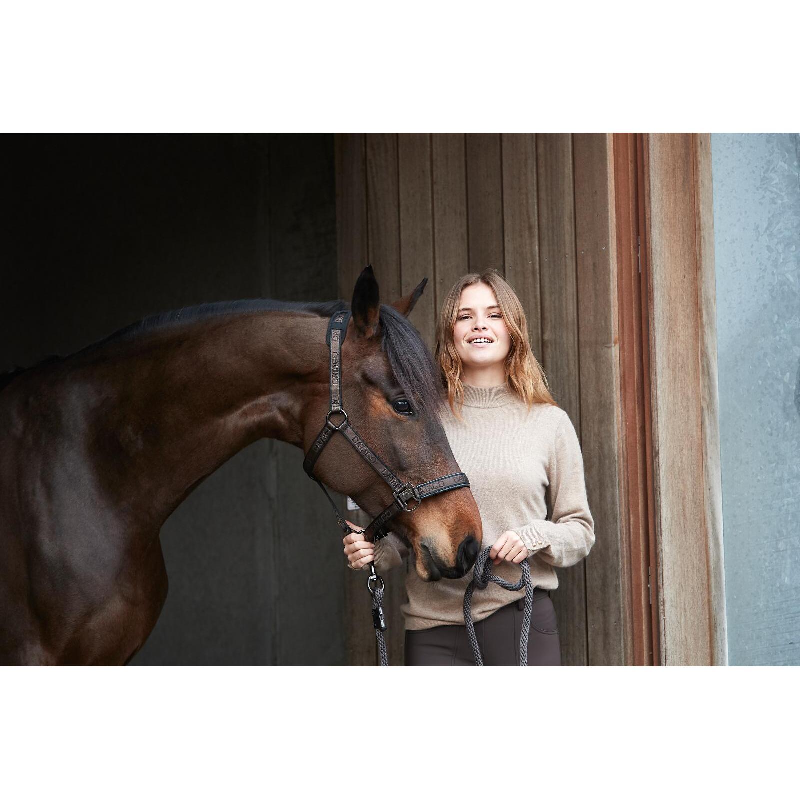 Licol pour cheval Catago 7/7