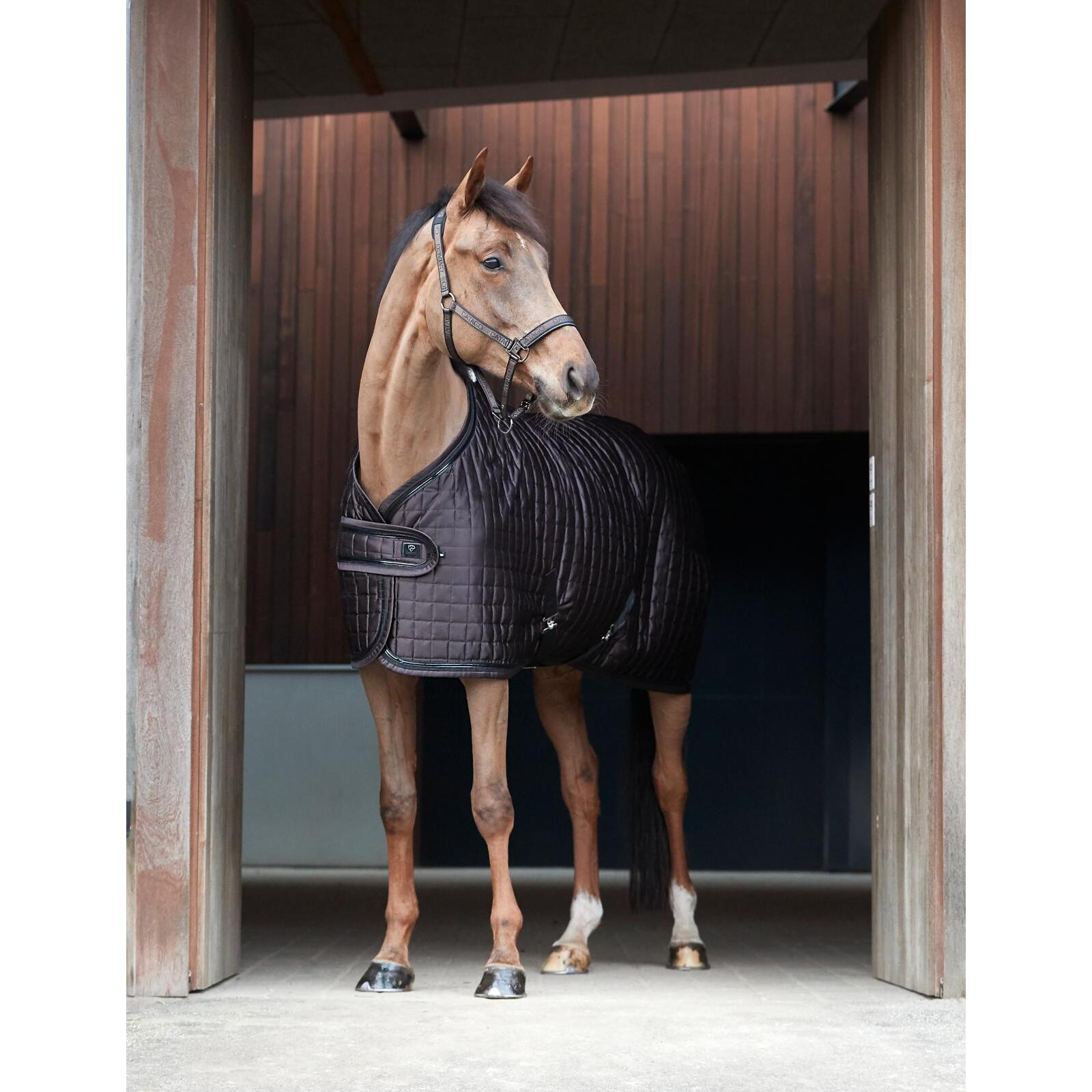 Licol pour poney Catago 7/7