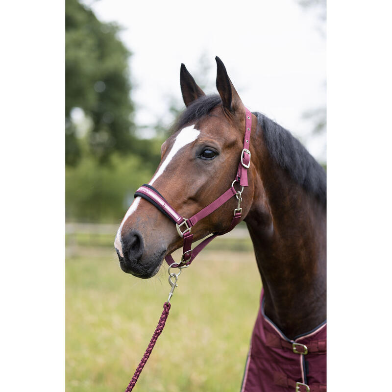 Halster en touwset voor paarden Horze Physical Sophistication