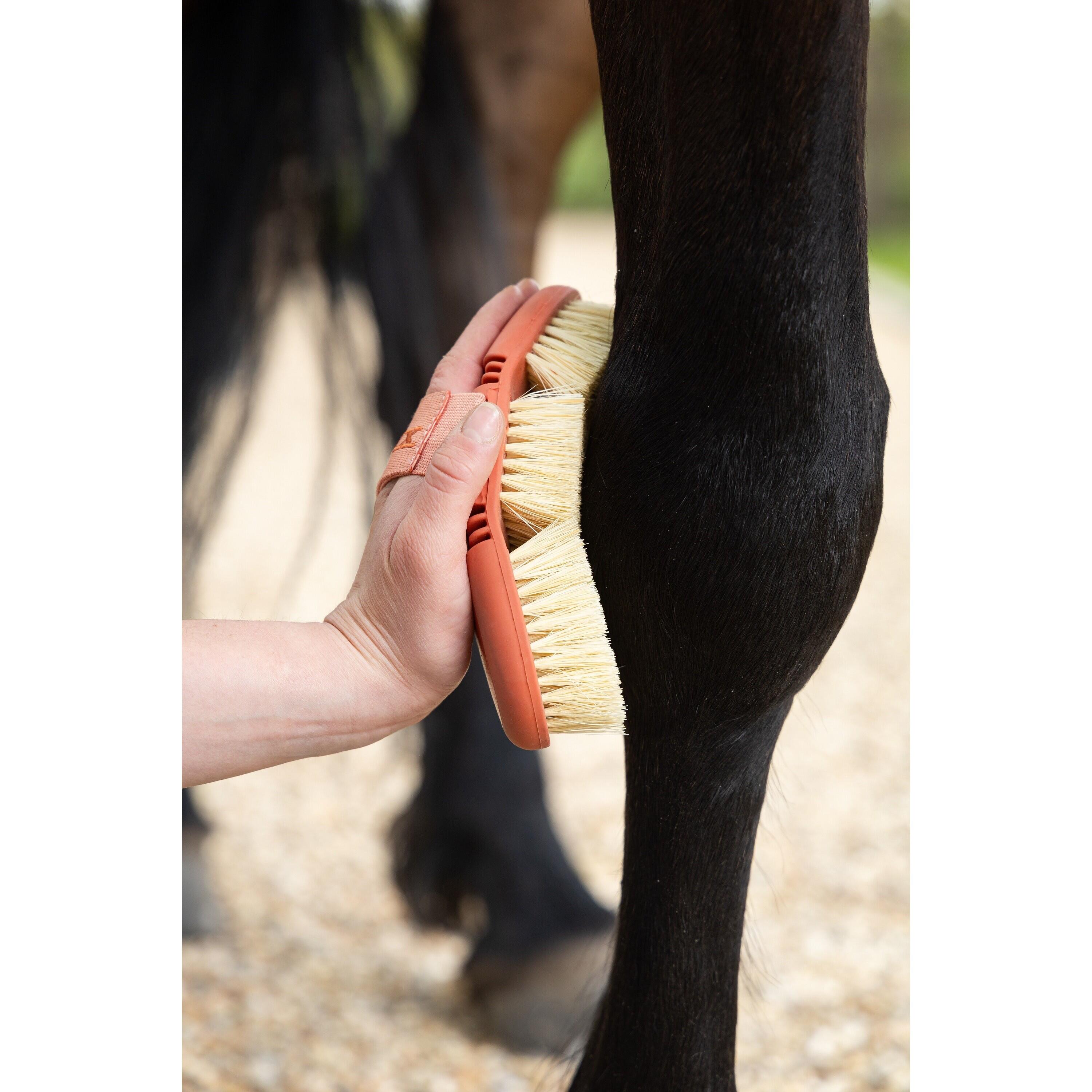 Brosse douce lavage LeMieux Flexi 3/3