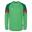 Maillot de gardien de but Homme (Vert / Vert joyeux / Rose)