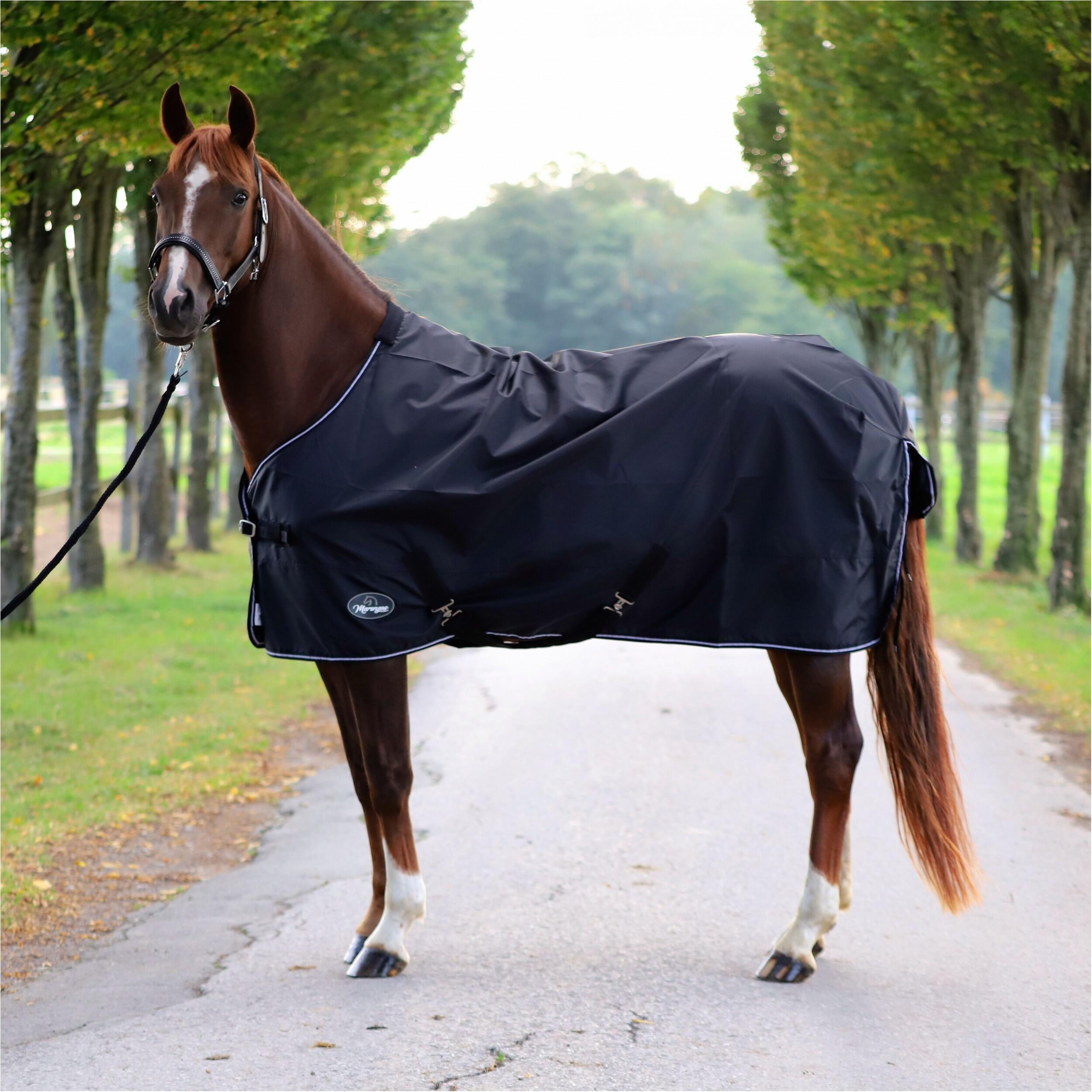 Regendecke 420D ECONOMIC schwarz 2/7