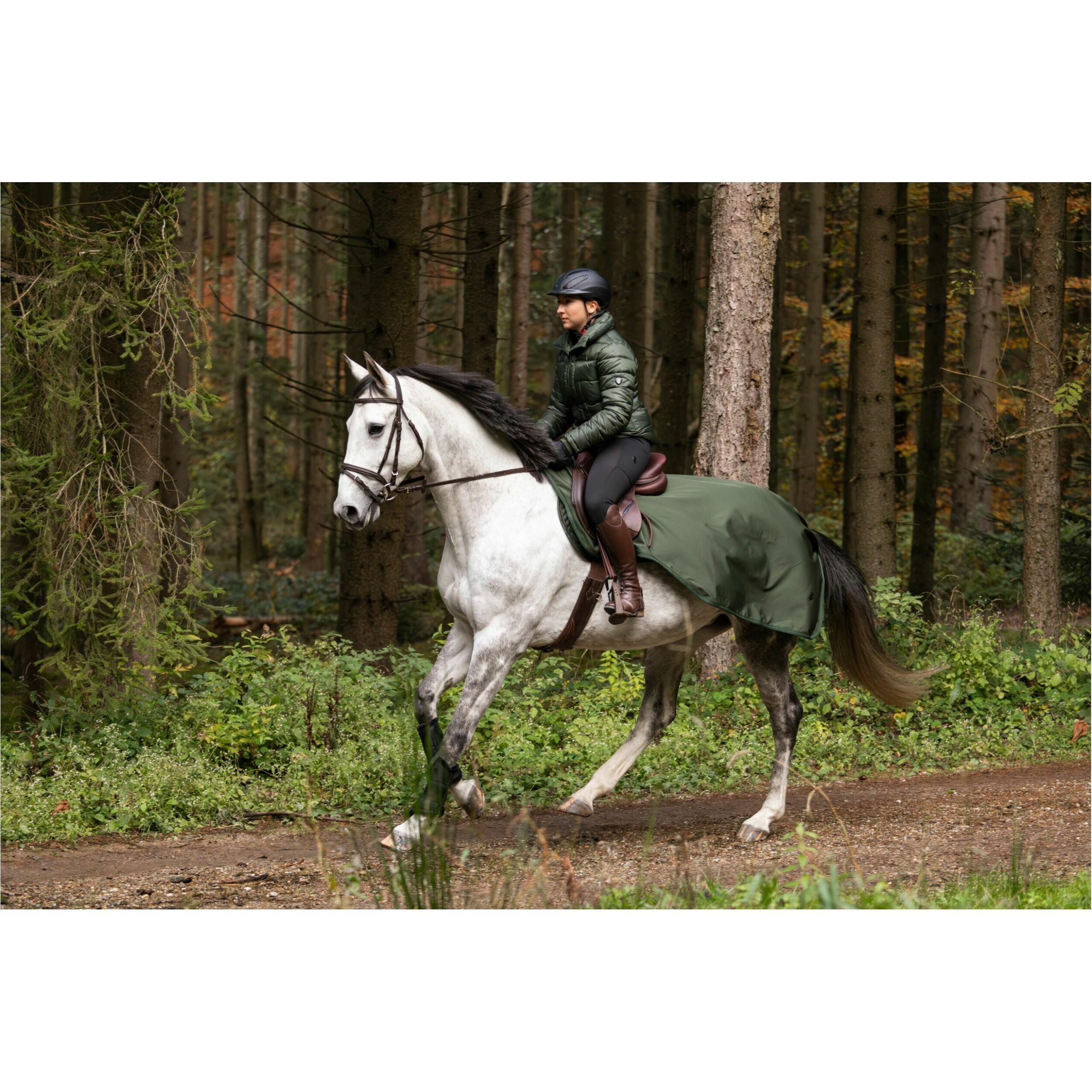 Ausreitdecke H/W24 opal green 2/4