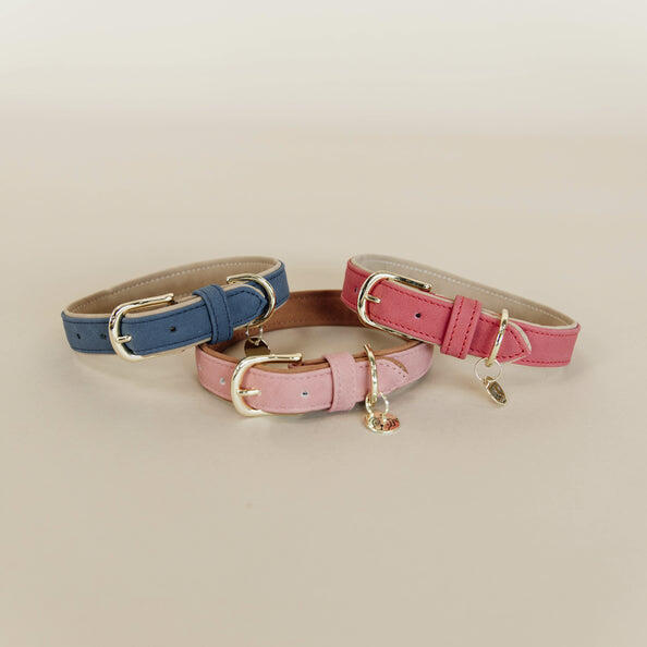 KENTUCKY HORSEWEAR Kentucky Hondenhalsband Zacht Vegan Leder Blauw