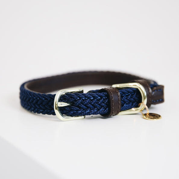 Collier pour chien en Nylon tressé - Kentucky