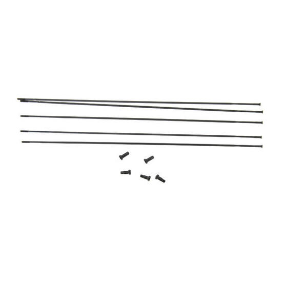 Rayons Massi Roubaix