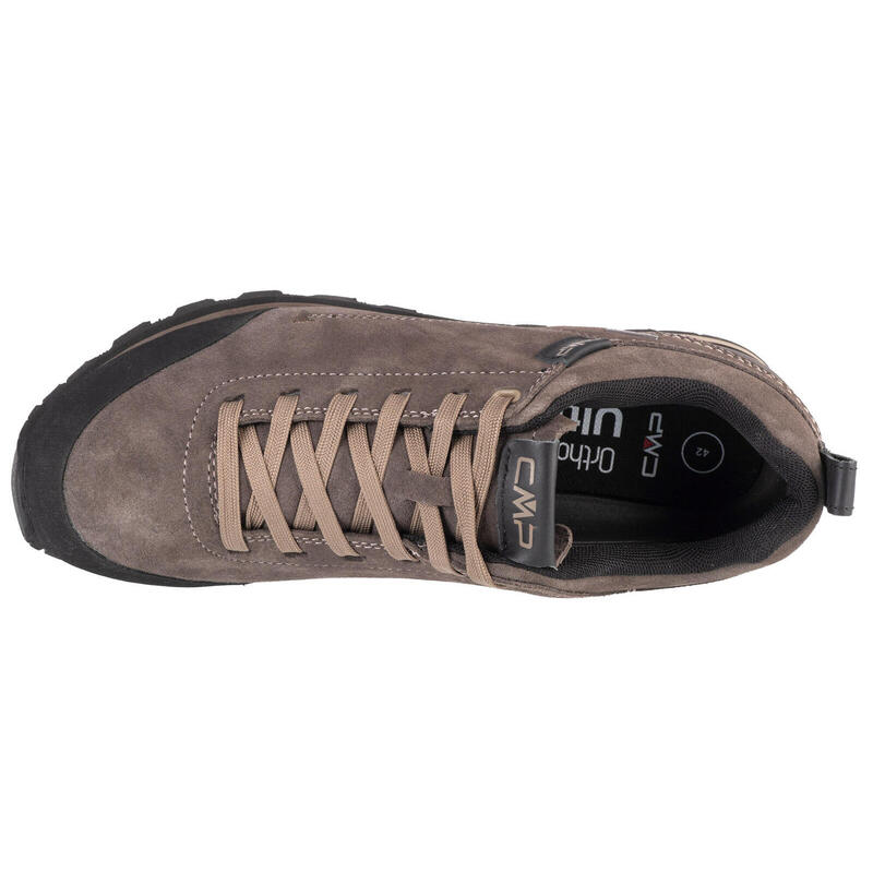 Zapatilla Elettra Low Waterproof Talla 43 - 38Q4617-Q906 Marrón