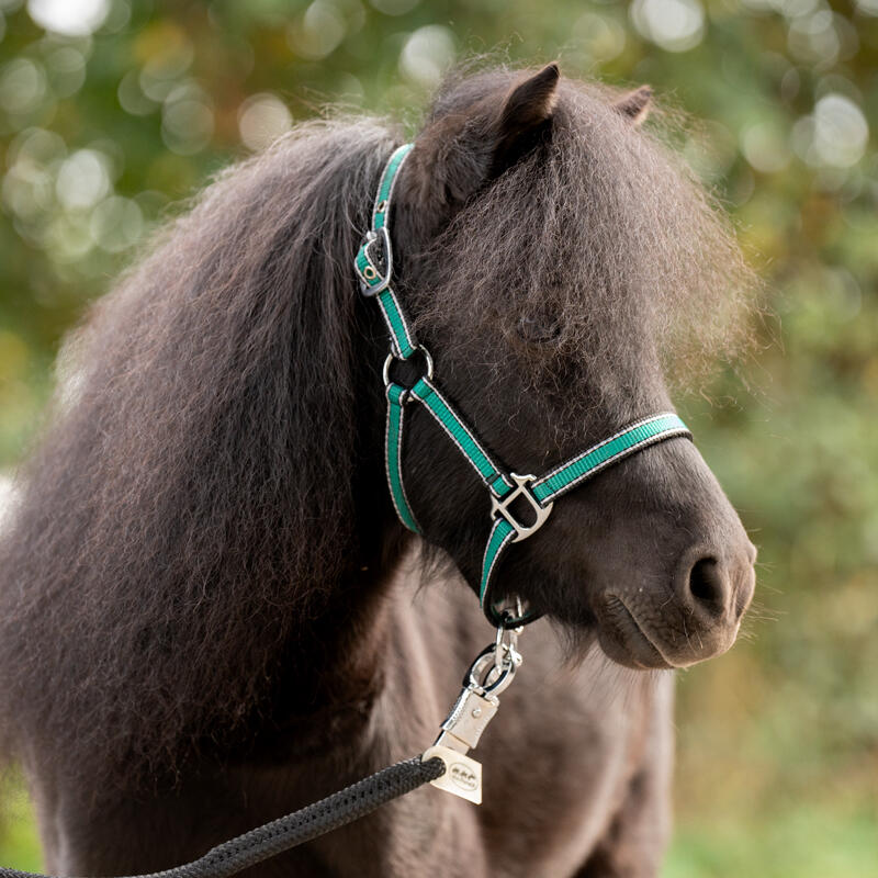 Halsband voor paard Kavalkade Shorty