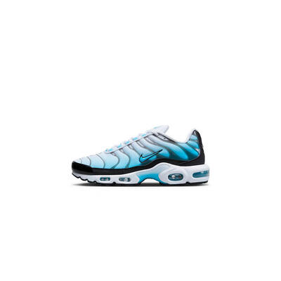 zapatillas Nike Air Max Plus Baltic Blue