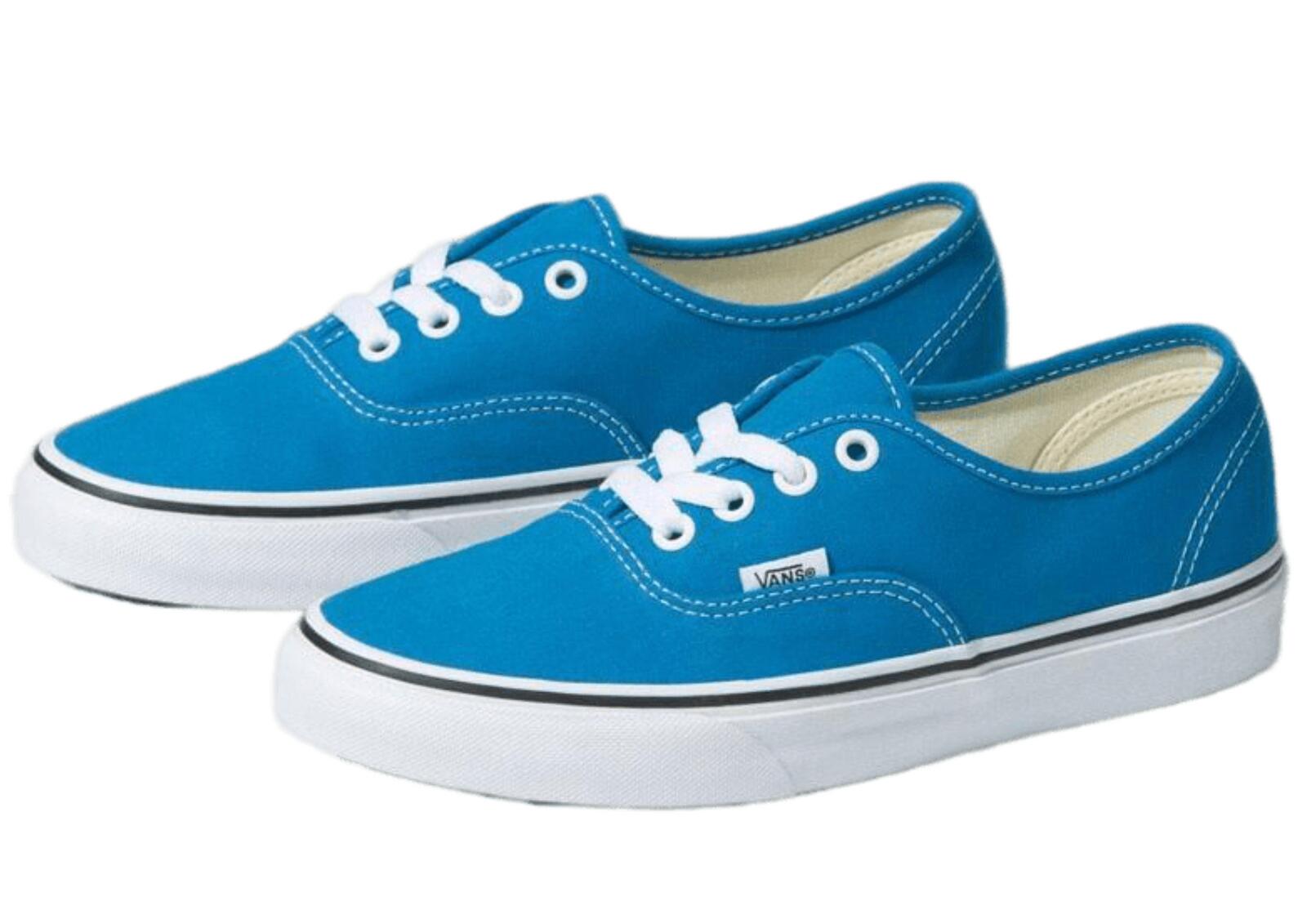 Vans Mens Authentic Canvas Shoes Sneakers Classic Skateboard Casual Blue