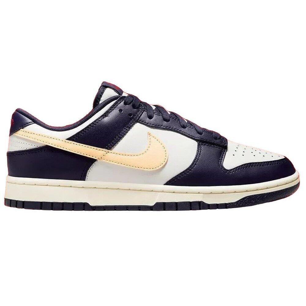 Buty męskie do koszykówki Nike Dunk Low Retro 1/5
