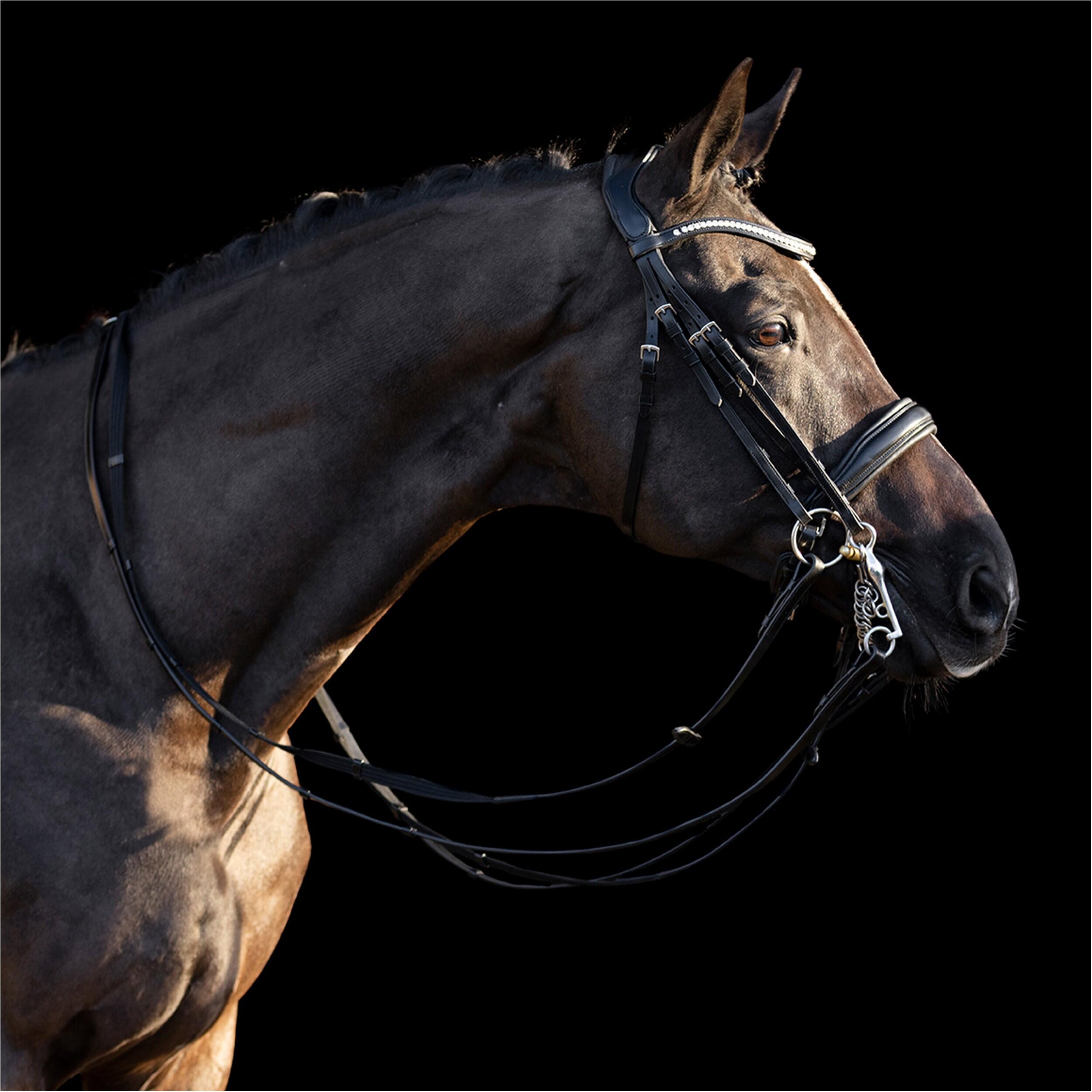 Briglie da equitazione deluxe HV Polo Legacy