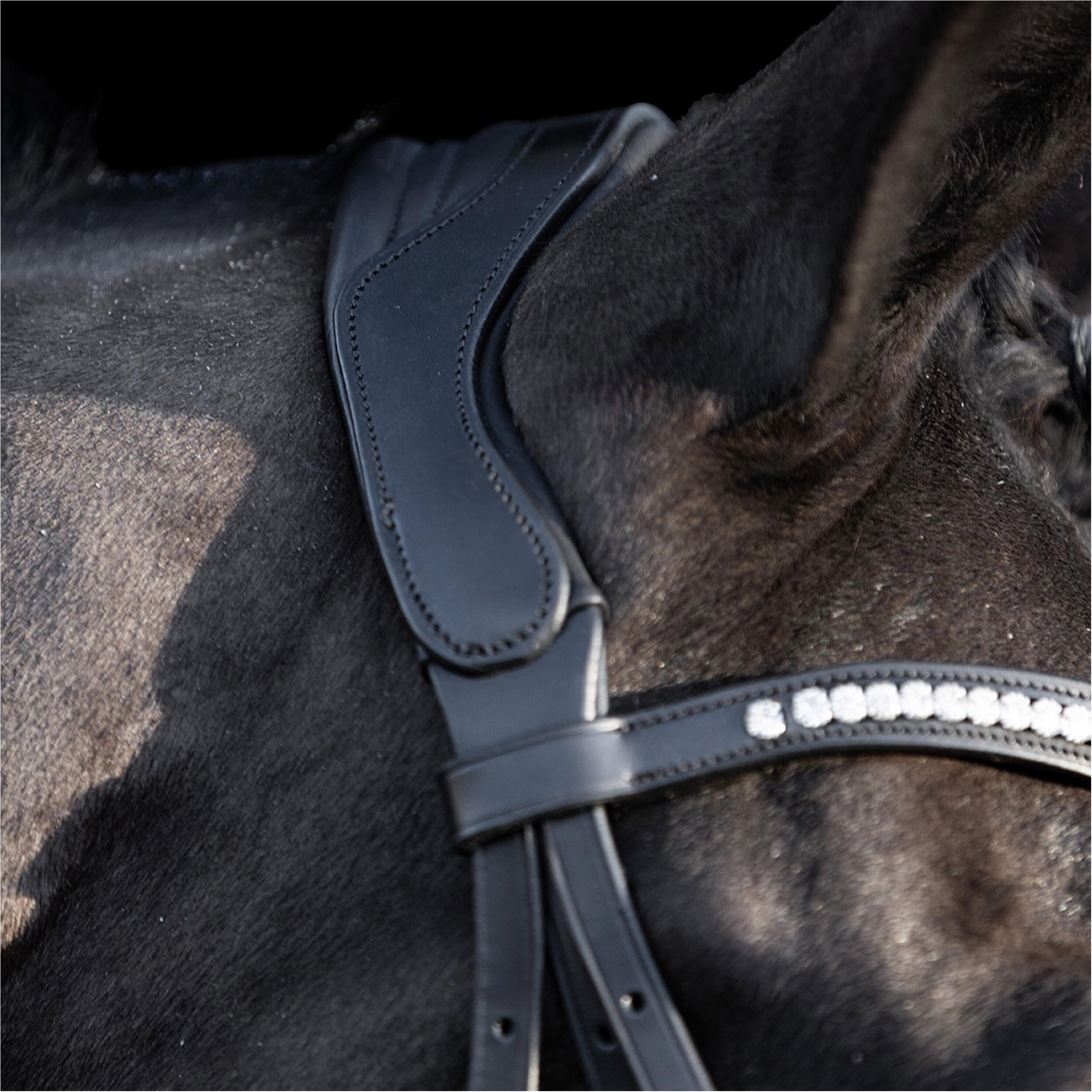 Bridles HV Polo Legacy deluxe 3/5