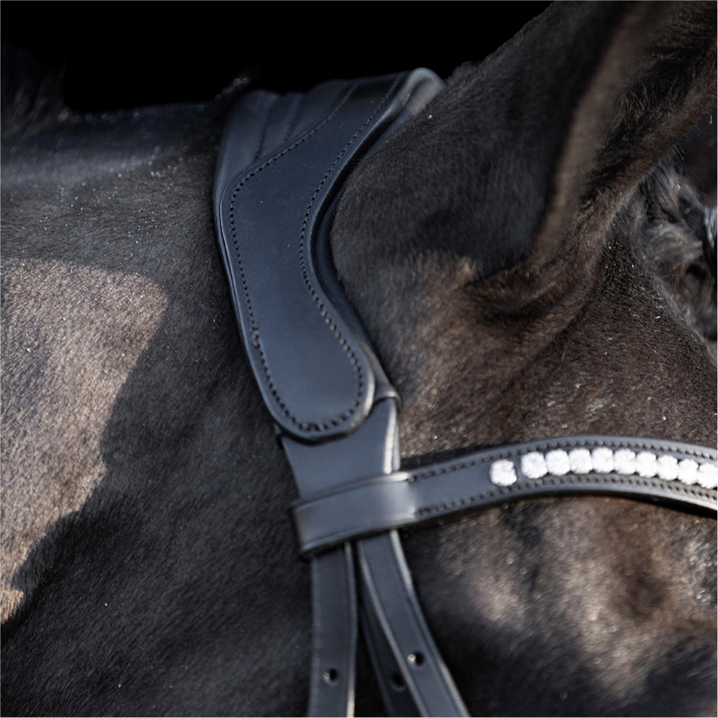 Briglie da equitazione deluxe HV Polo Legacy