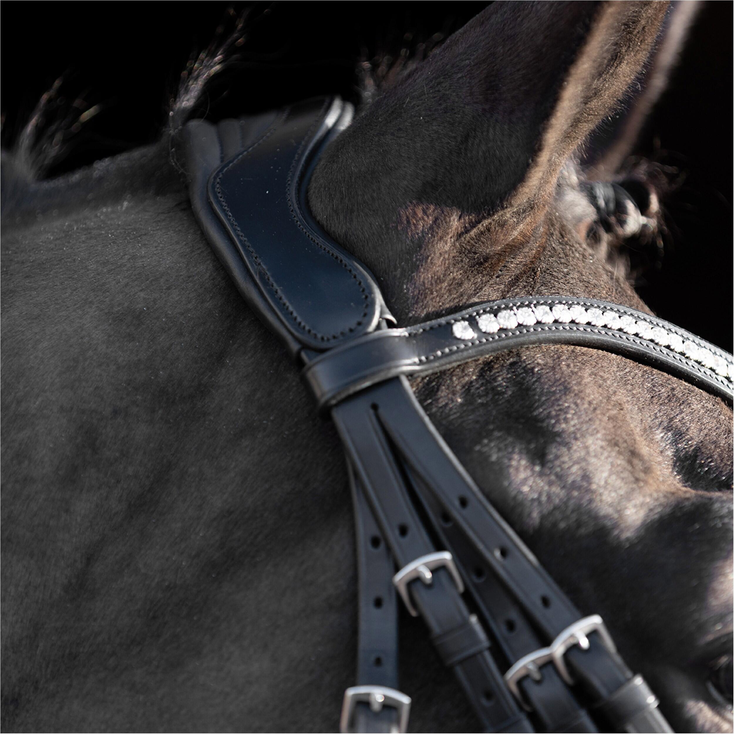 Briglie da equitazione deluxe HV Polo Legacy